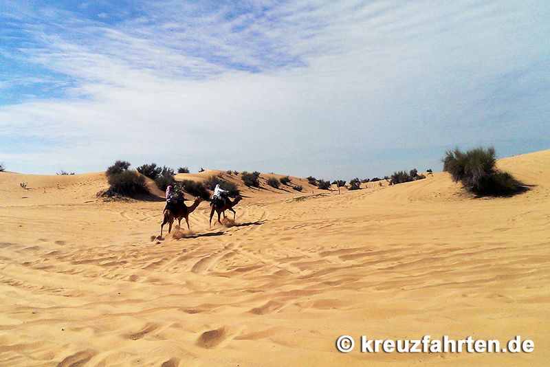 Kamel reiten durch die Wüste
