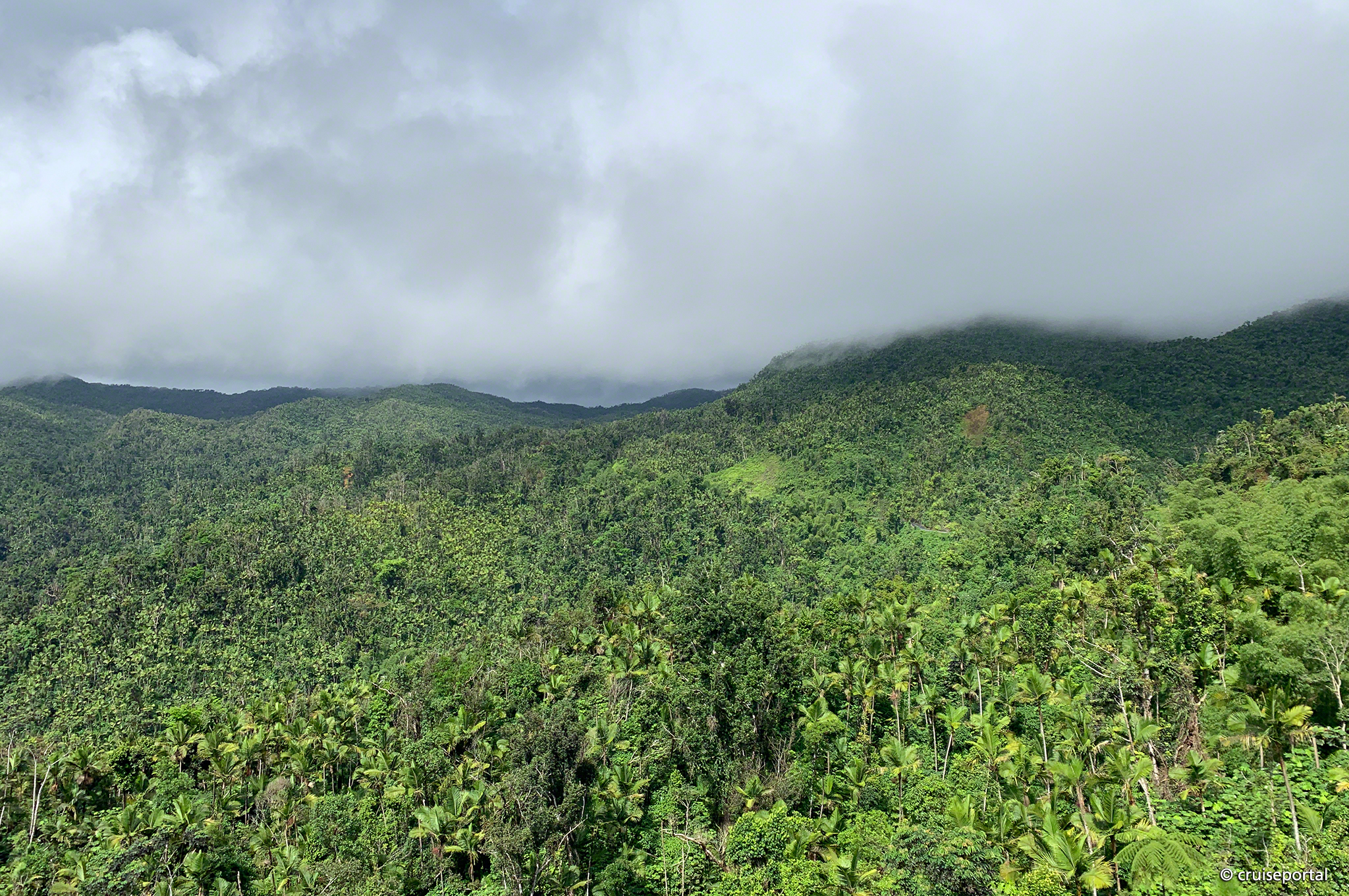 El Yunque Nationalpark