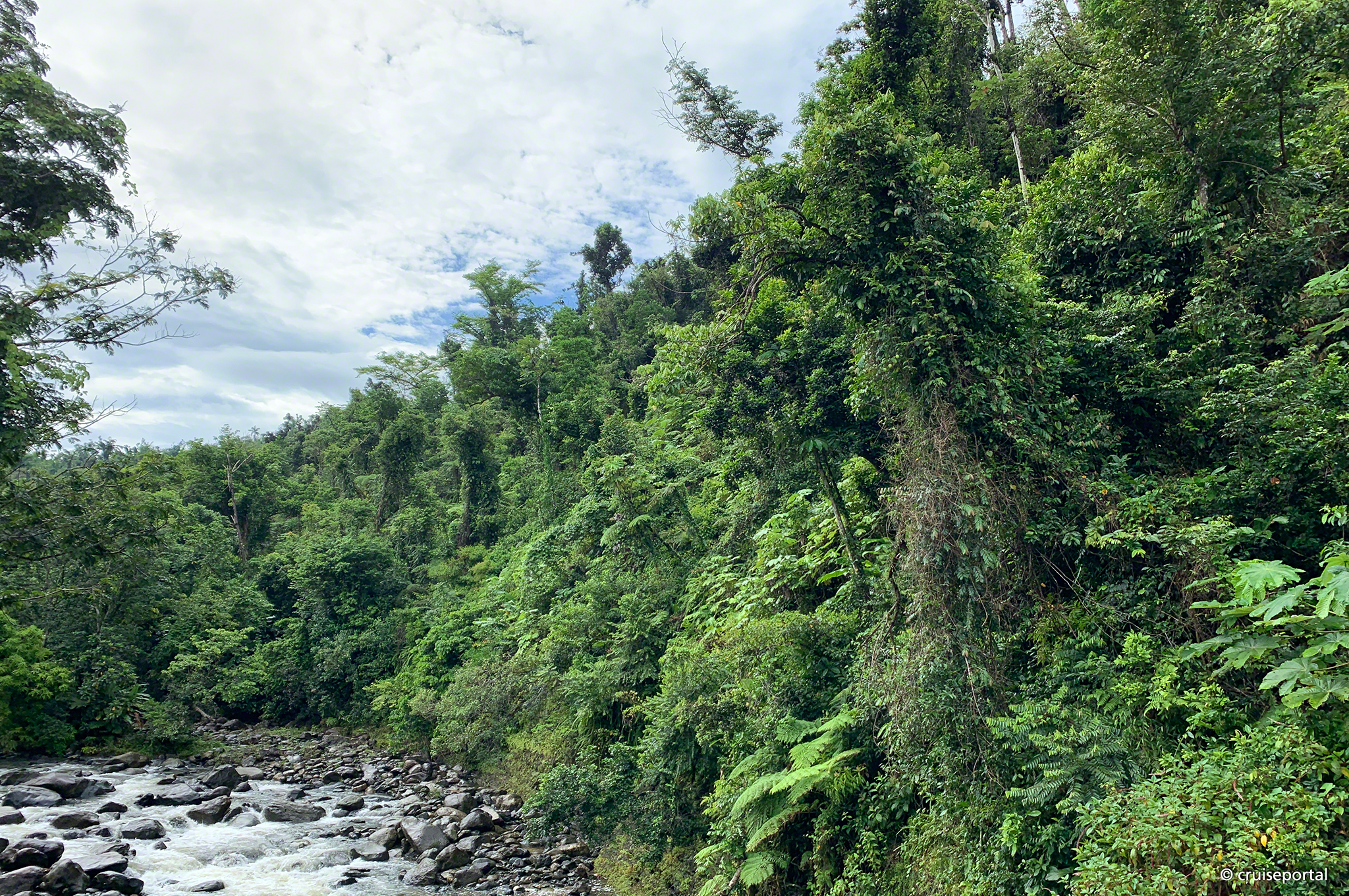 El Yunque Nationalpark