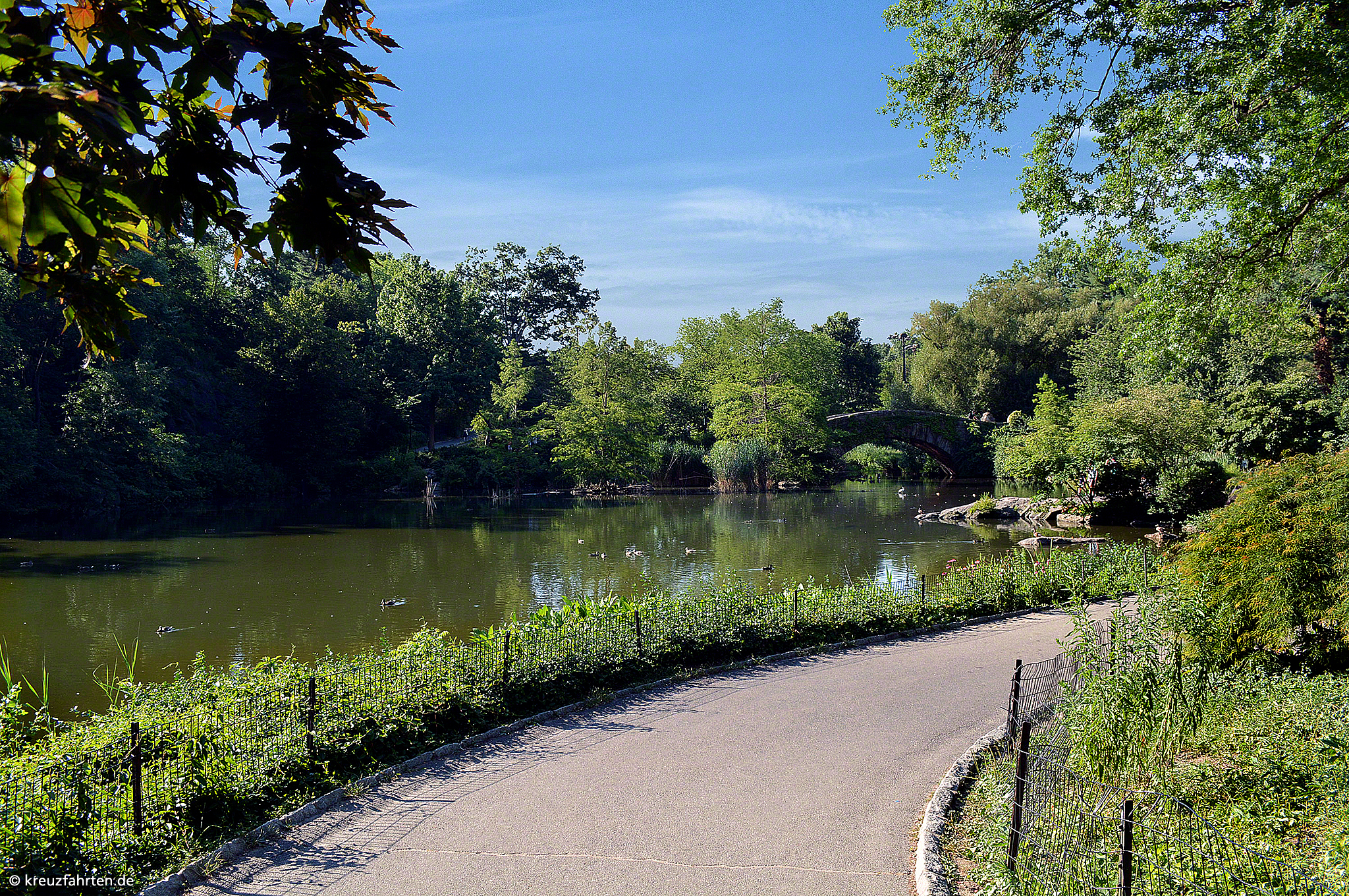 Central Park (New York)