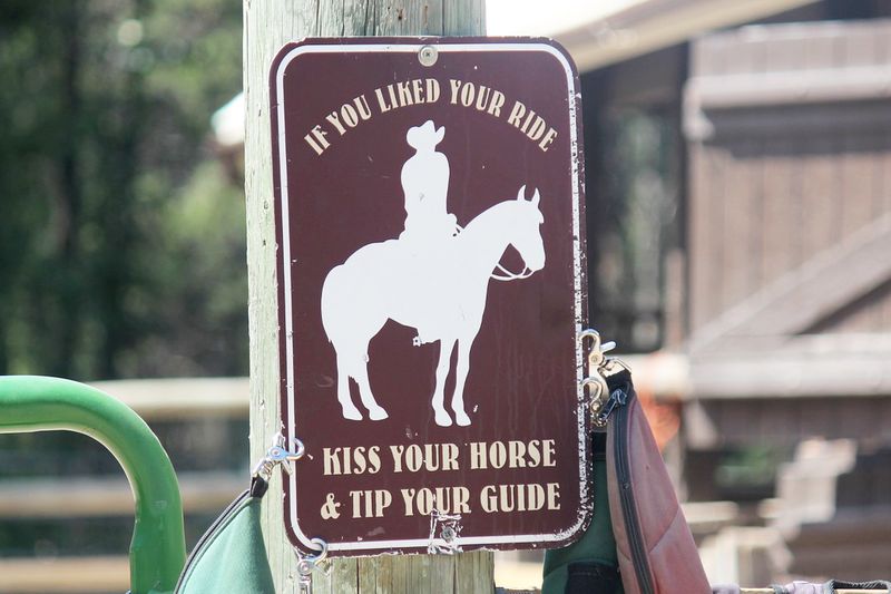 Hinweisschild zum Reiterhof mit Pony reiten