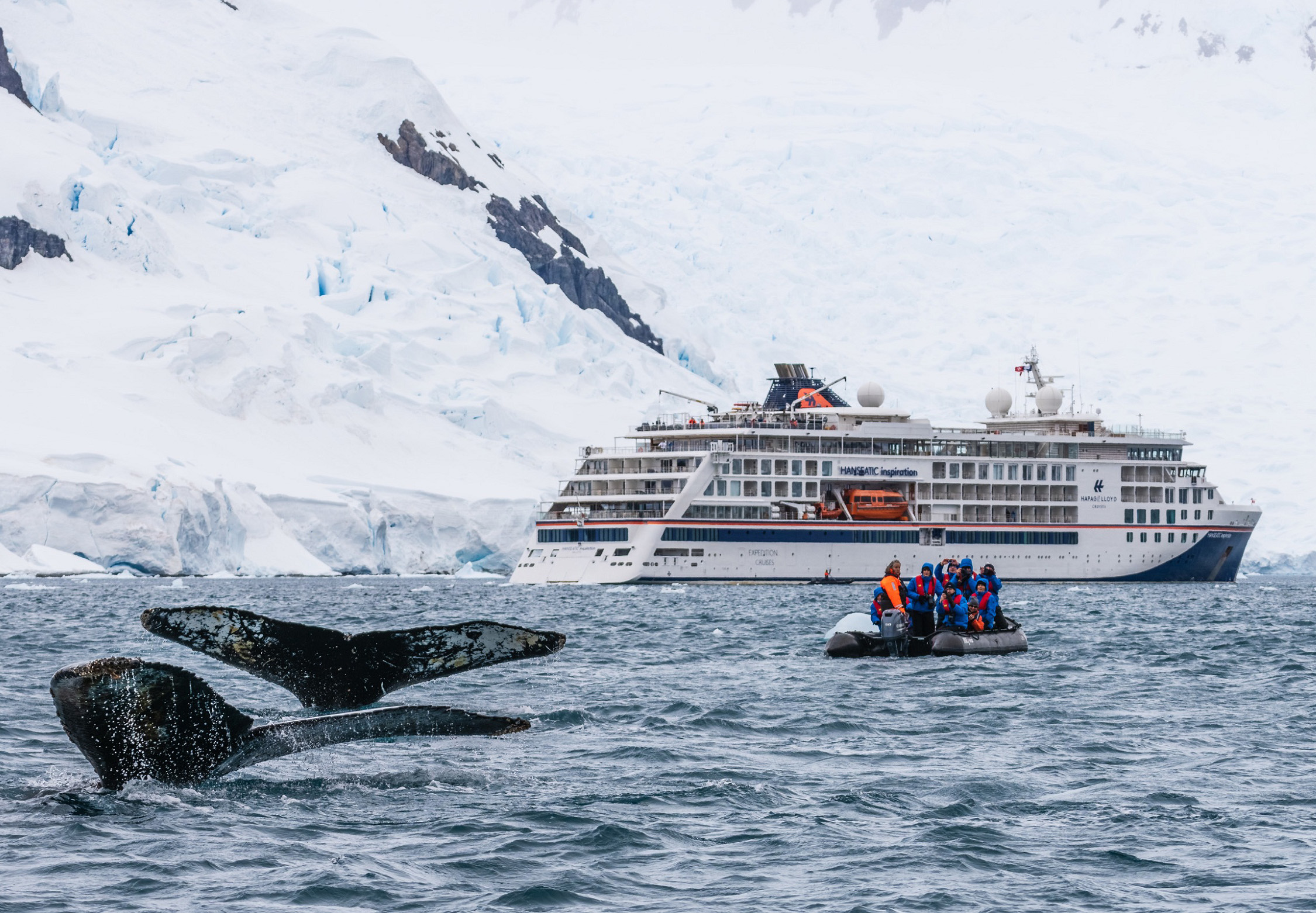 Expeditionskreuzfahrtschiff von Hapag-Lloyd vor Gletscher im Vordergrund Wale und Zodiac Expeditionskreuzfahrtschiff von Hapag-Lloyd vor Gletscher im Vordergrund Wale und Zodiac