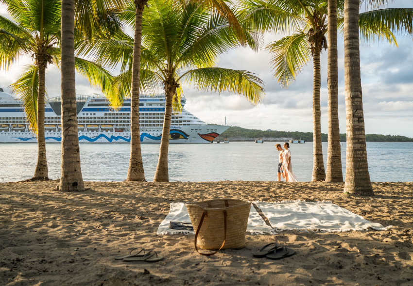 Strand, Palmen und Badetuch/-tasche, im Hintergrund das Schiff