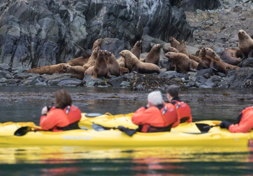 Alaska Seabourn Encore Menschen im Kanu vor der Küste Alaskas mit Robben auf dem Wasser