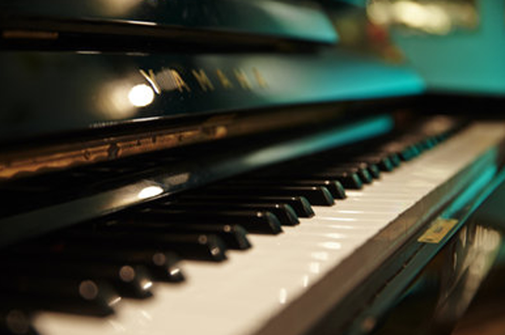 Klavier im Palmgarten