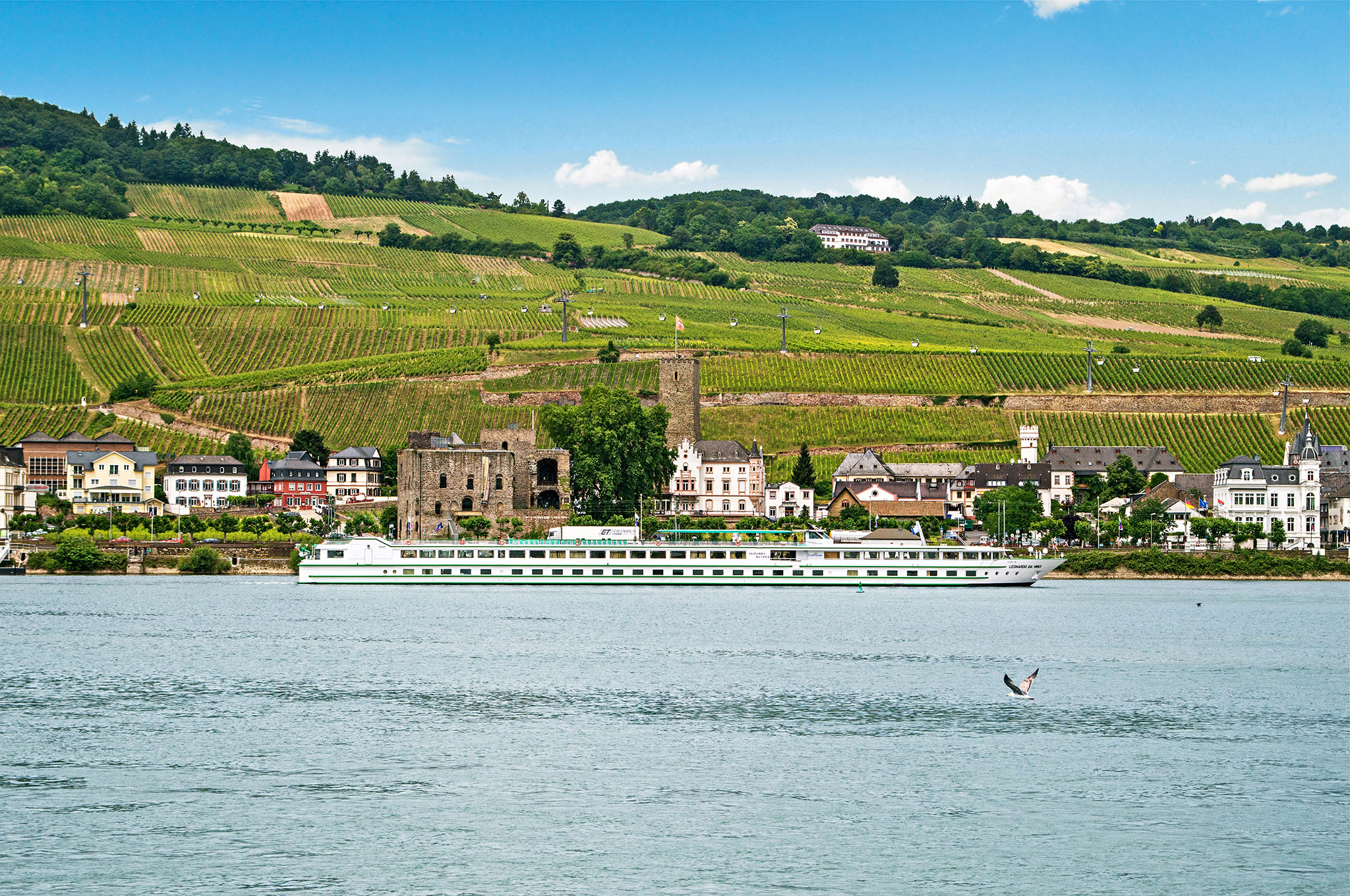 MS Leonardo da Vinci