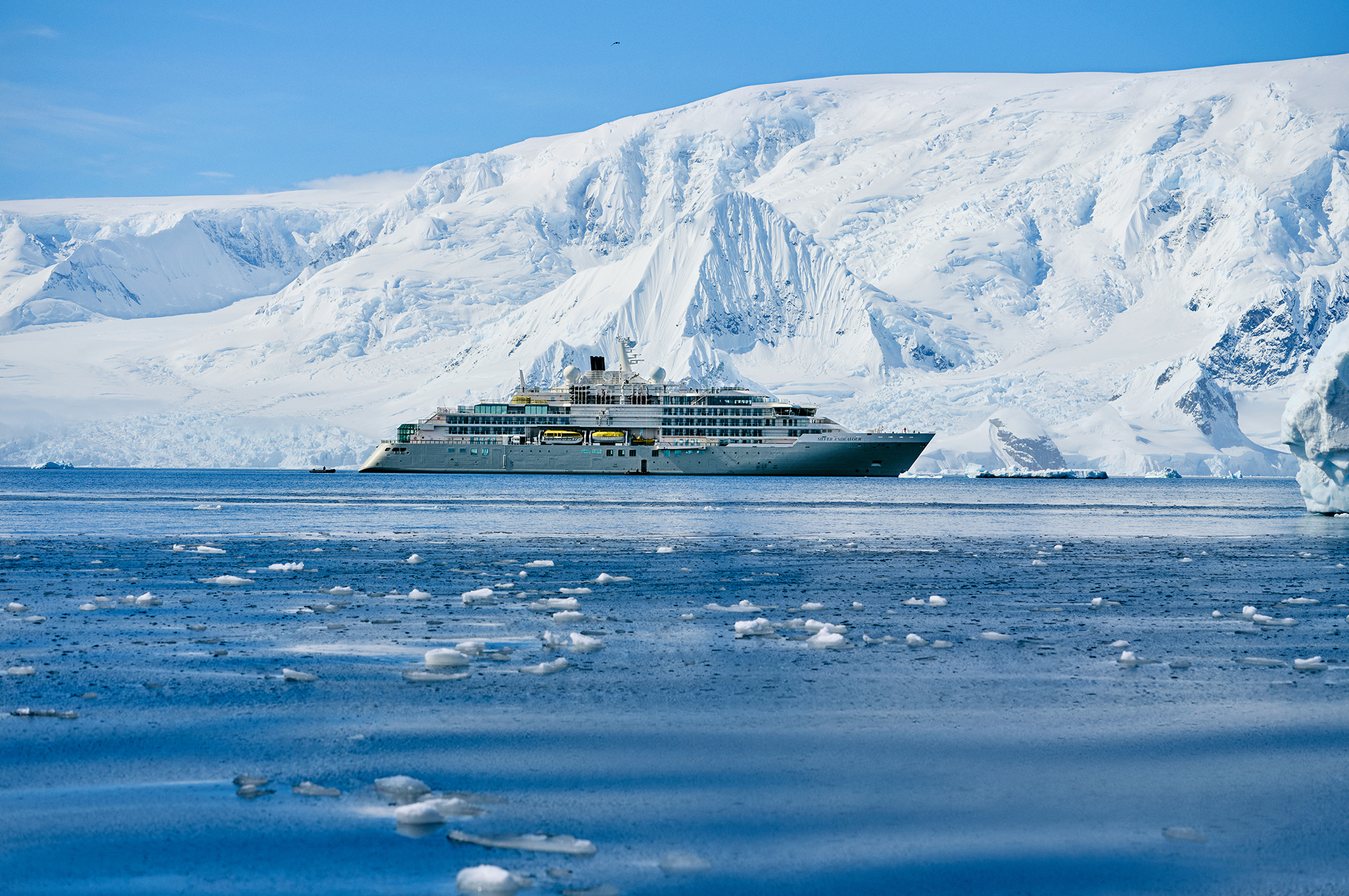 Silver Endeavour
