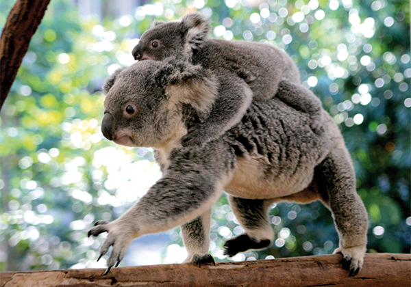 <span class="altPraefixWrapper">ab</span>Jetzt buchen