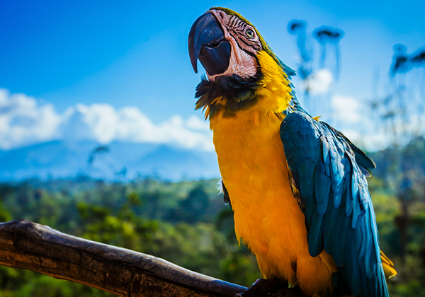 <span class="altPraefixWrapper">ab</span>Jetzt buchen