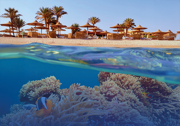 <span class="altPraefixWrapper">ab</span>ab € 432,-