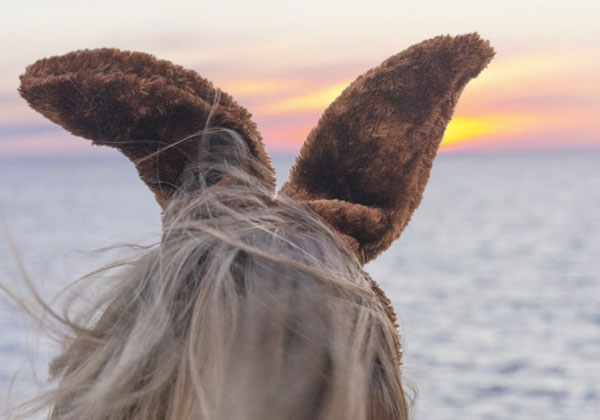 <span class="altPraefixWrapper">ab</span>ab € 449,-